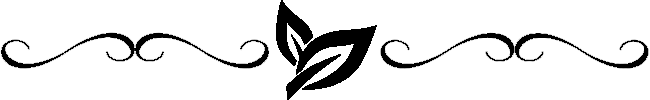 logo color wide black